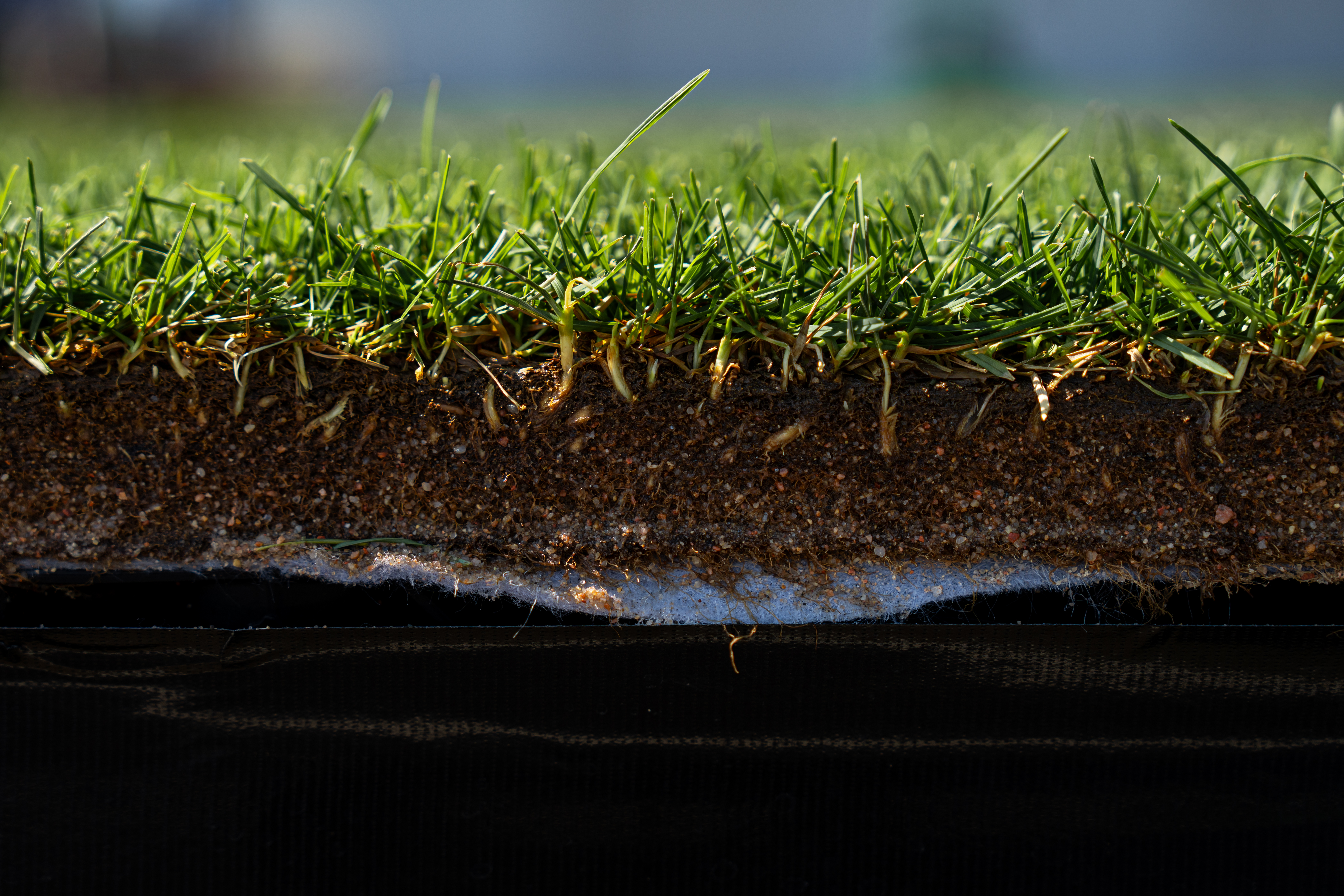 Turf on plastic.jpg